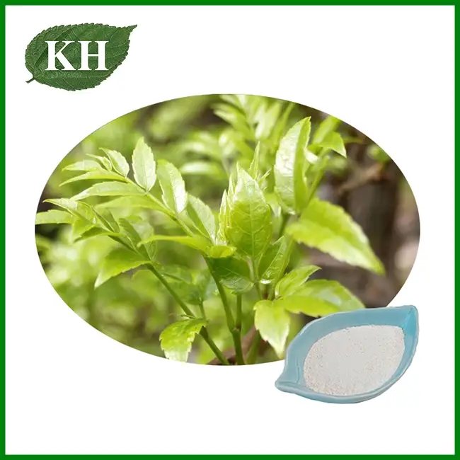 Vine Tea Extract — High Flavonoid Botanical Ingredient